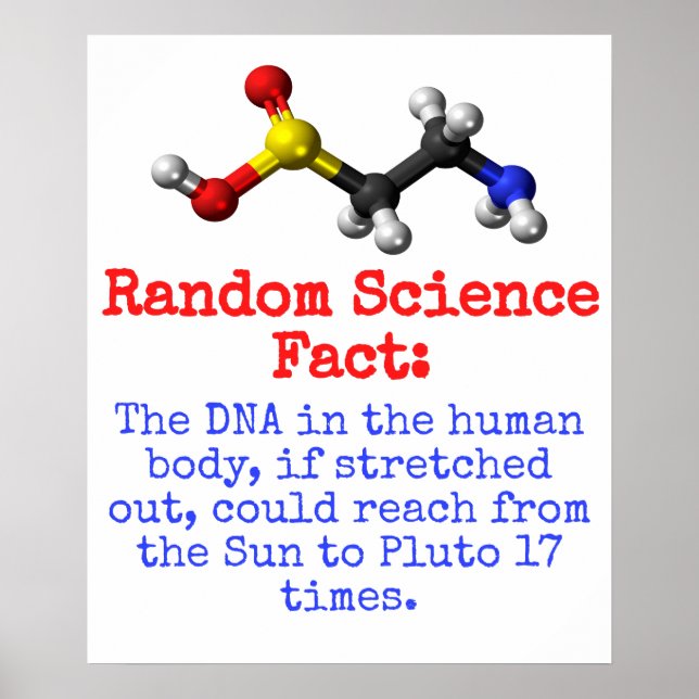 The DNA In The Human Body - Science Fact Poster (Front)