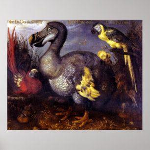 The Dodo And Friends Poster
