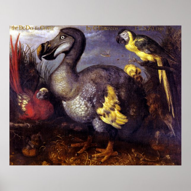 The Dodo And Friends Poster (Front)