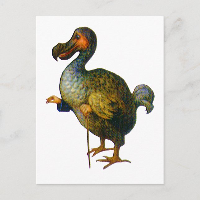 The Dodo Bird Postcard (Front)