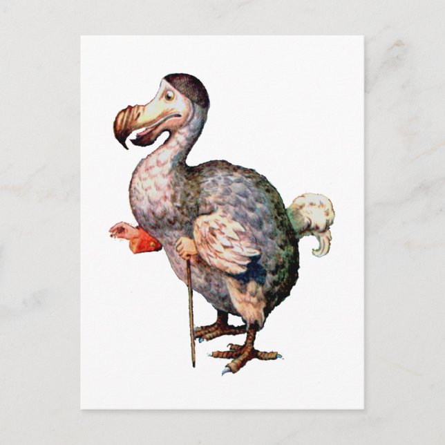 The Dodo Bird Postcard (Front)