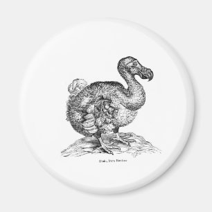 The Dodo Magnet