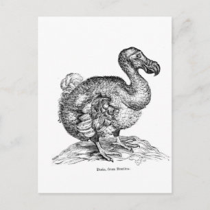 The Dodo Postcard