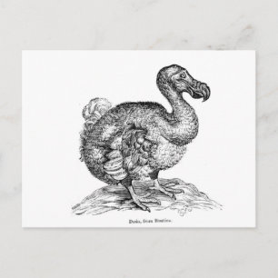 The Dodo Postcard