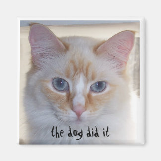 THE DOG DID IT MAGNET