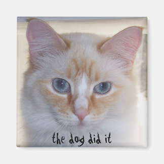 THE DOG DID IT MAGNET