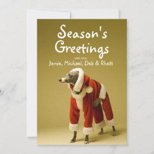 The dog wears Father Christmas's clothes 2 Holiday Card