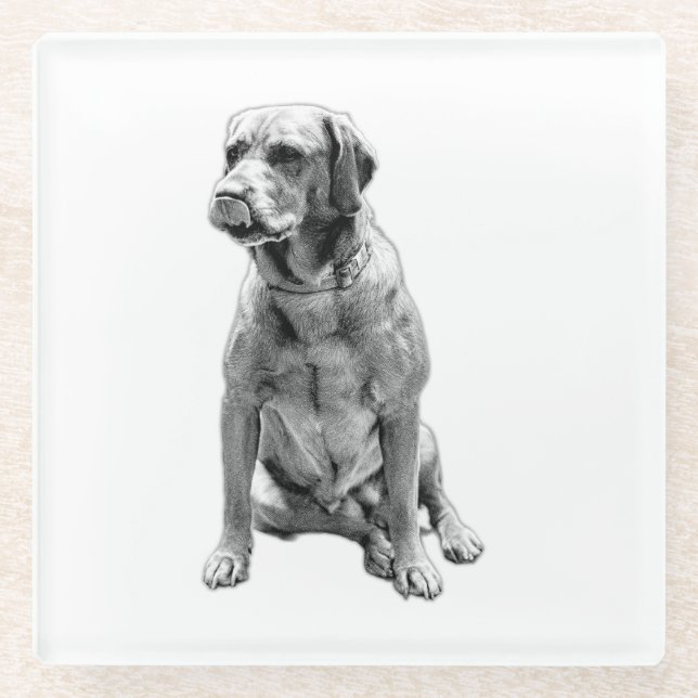 The Dog Who Never Leaves Glass Coaster (Front)