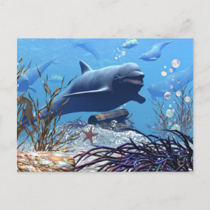 The Dolphins and The Treasure Chest Postcard