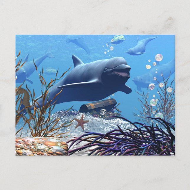 The Dolphins and The Treasure Chest Postcard (Front)