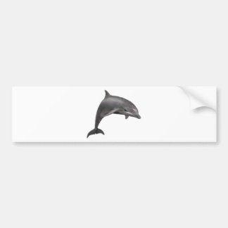 THE DOLPHINS LEAP BUMPER STICKER