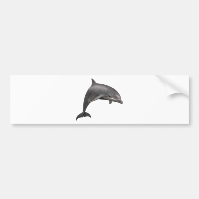 THE DOLPHINS LEAP BUMPER STICKER (Front)