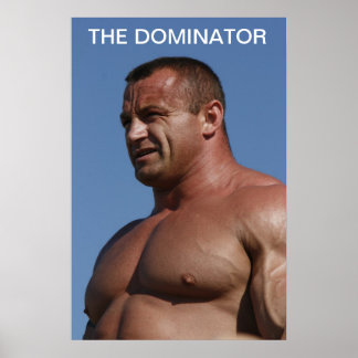 The Dominator Poster