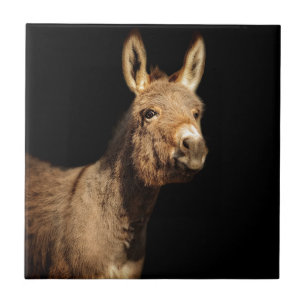 The Donkey Tile