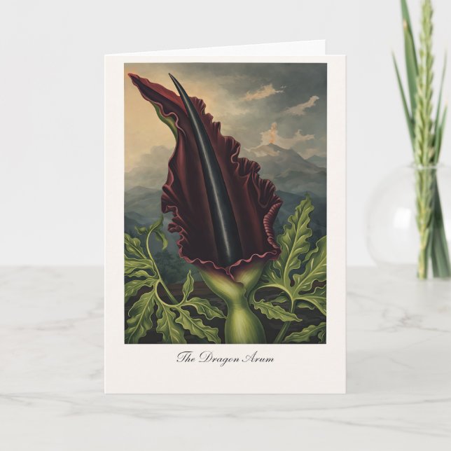 The Dragon Arum — Modern Botanical Reinterpretatio Card (Front)