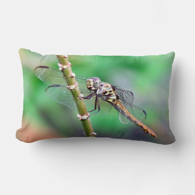 The Dragonfly Pillow (Front)