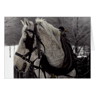 The Draught Horse