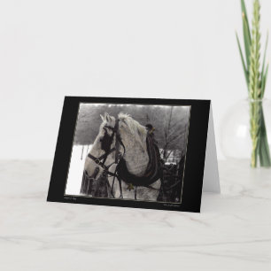 The Draught Horse Greeting Card