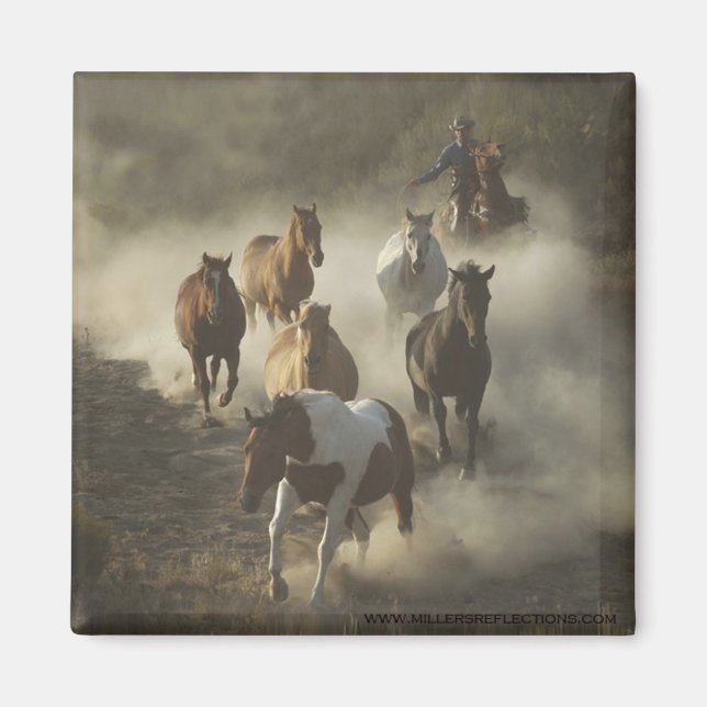 The Drive Magnet (Front)