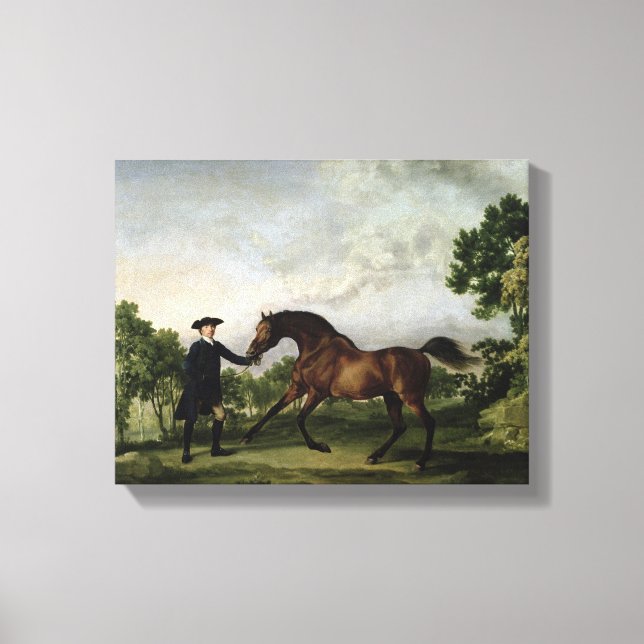 The Duke of Ancaster's bay stallion "Blank" Canvas Print (Front)