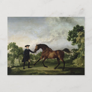 The Duke of Ancaster's bay stallion "Blank" Postcard