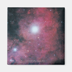The Dumbell Nebula Magnet