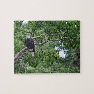 The Eagle's Perch - 8x10 - 110 pcs jigsaw puzzle