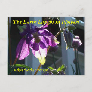 THE EARTH LAUGHS IN FLOWERS - COLUMBINE POSTCARD