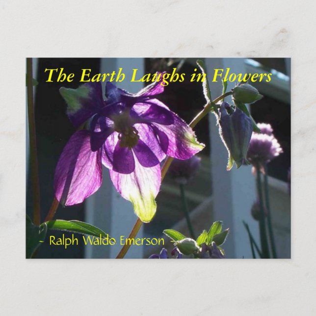 THE EARTH LAUGHS IN FLOWERS - COLUMBINE POSTCARD (Front)