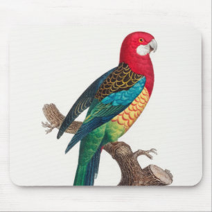 The Eastern Rosella, Platycercus eximius Parrots Mouse Pad