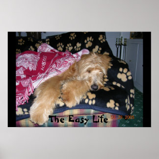 The Easy Life Poster