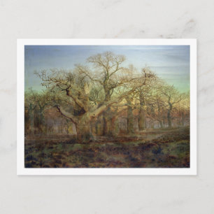 The Edge of Sherwood Forest, 1878 Postcard