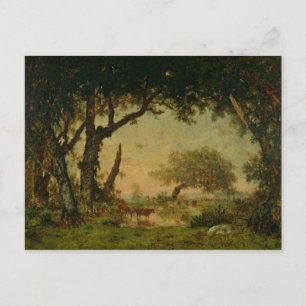 The Edge of the Forest at Fontainebleau Postcard