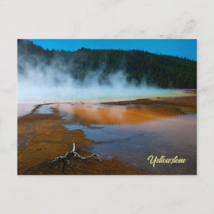 the edge of the Grand Prismatic Spring Yellowstone Postcard