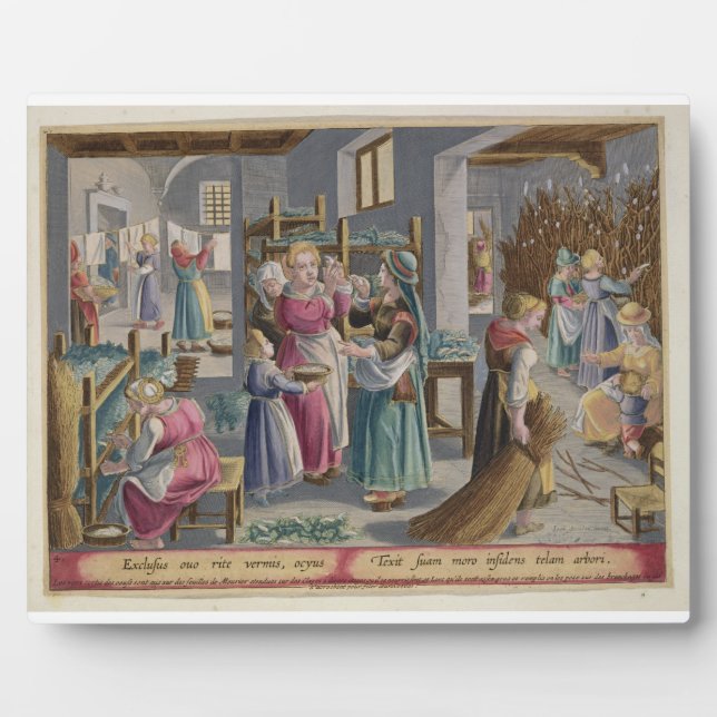 The Eggs Duly Hatch into Worms, they are Covered b Plaque (Front)