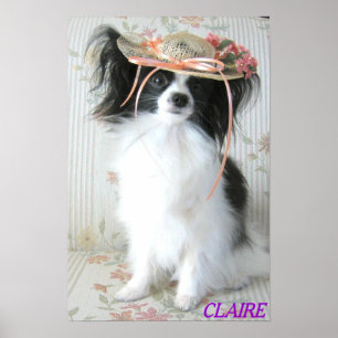 The Elegant Papillon Poster