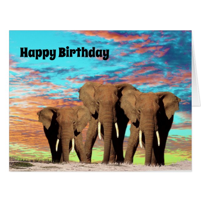 The Elephant Gang, Jumbo Birthday Card (Front Horizontal)