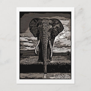 The Elephant Postcard