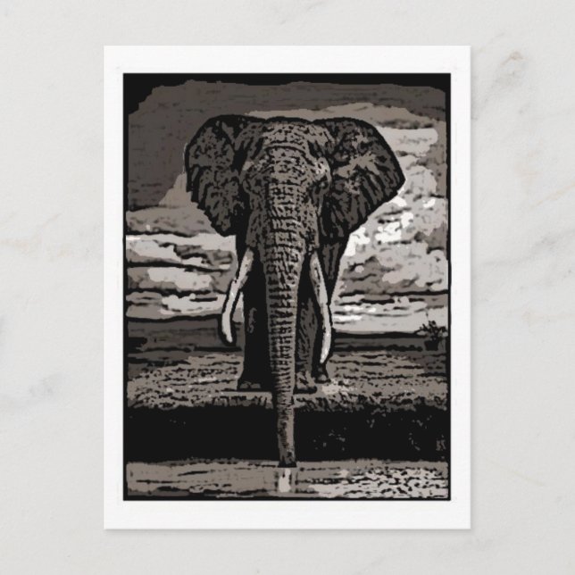 The Elephant Postcard (Front)
