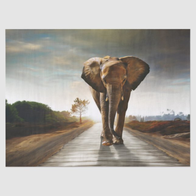 The Elephant Tissue Paper (Front)