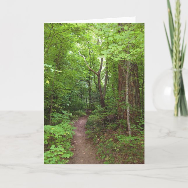 The Enchanted Forest (3) Greeting Cards (Front)