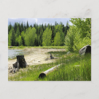 The end of the lake - Marshall Lake Postcard
