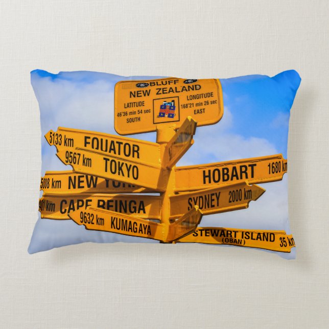 The end of the road decorative cushion (Back)