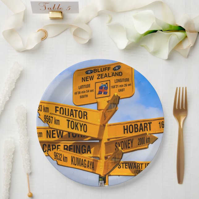The end of the road paper plate (Wedding)