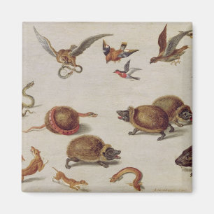 The Enemies of Snakes Magnet