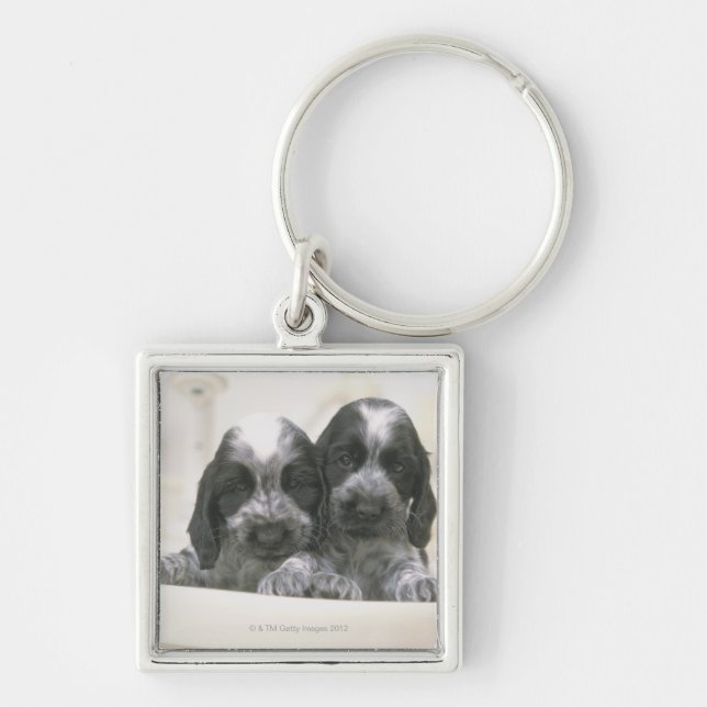 The English Cocker Spaniel is a breed of dog. It Key Ring (Front)
