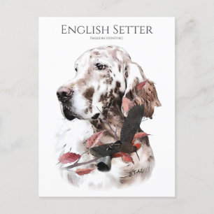 The English Setter,  Passion Hunting Postcard