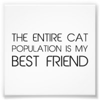 The Entire Cat Population Is My Best Friend