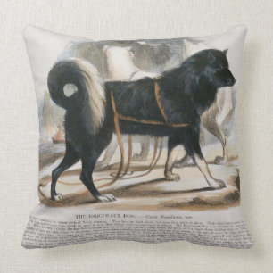 The Esquimaux Dog (Canis familiaris) educational i Cushion