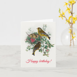 The European greenfinch, Happy Birthday   Card
